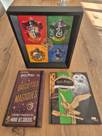 Lot -Harry Potter- Baguettes Magniques + cadre + Livre