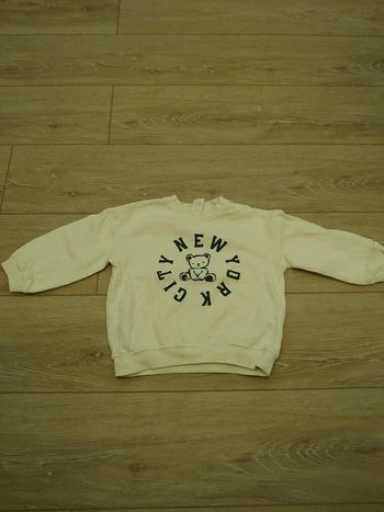 Pull nounours