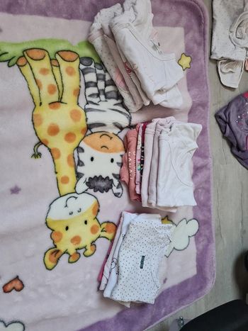 Lot 15 bodies manches longues 3 mois