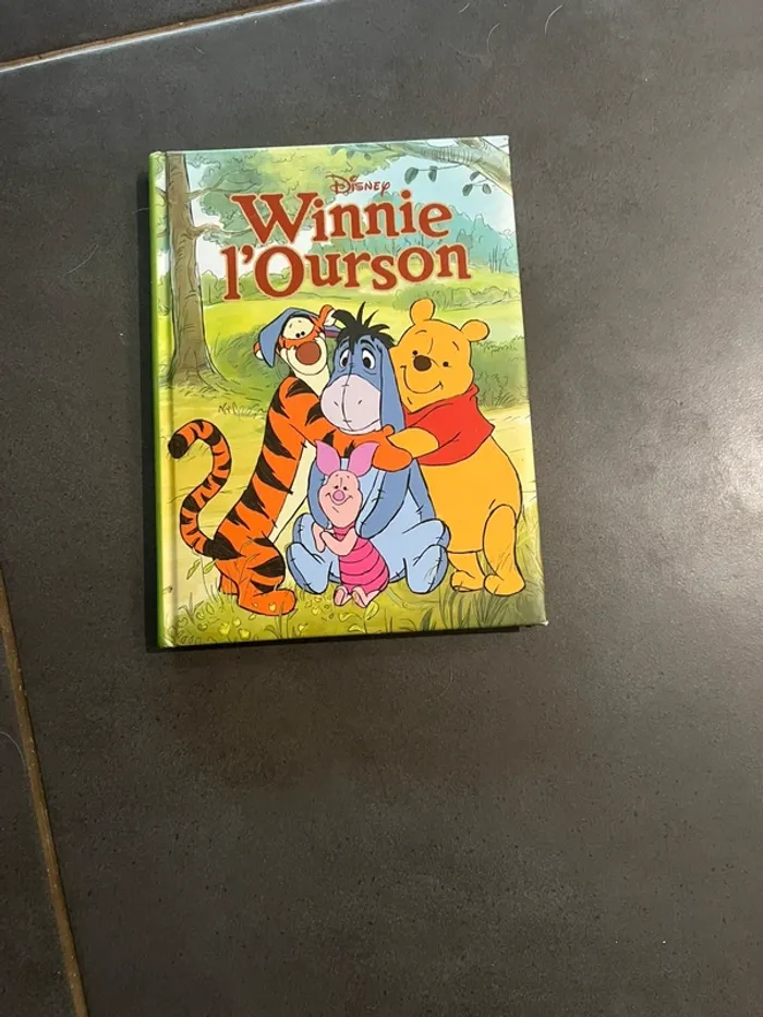 Lot de 3 livres Winnie l'ourson - photo numéro 6
