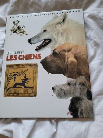 Les loups et les chiens