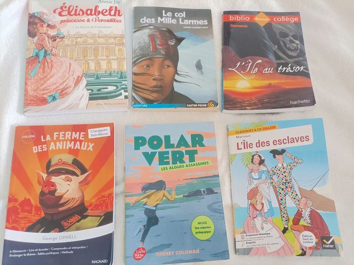Énorme lot de livres collège – 15 titres