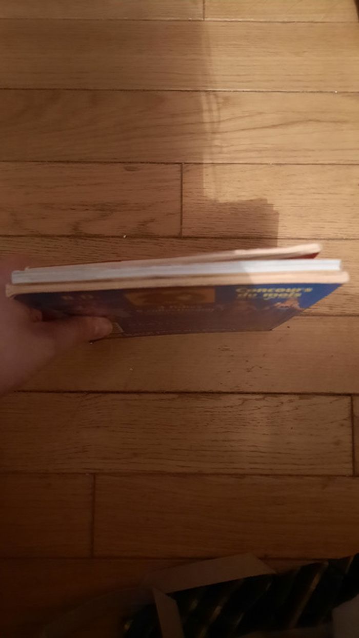 Lot revue premières lectures - photo numéro 4