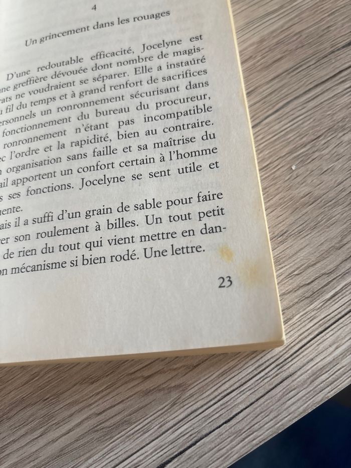 Dans le murmure des feuilles qui dansent - Agnes Ledig - photo numéro 4