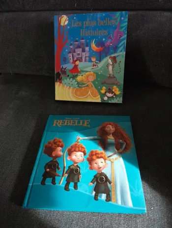 Lot 2 livres