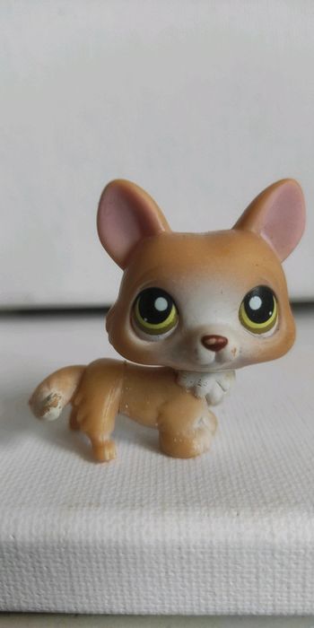 M'y littlest petshop chien corgi 183