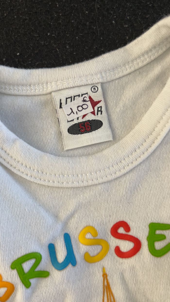 Bodie 3 mois - photo numéro 4