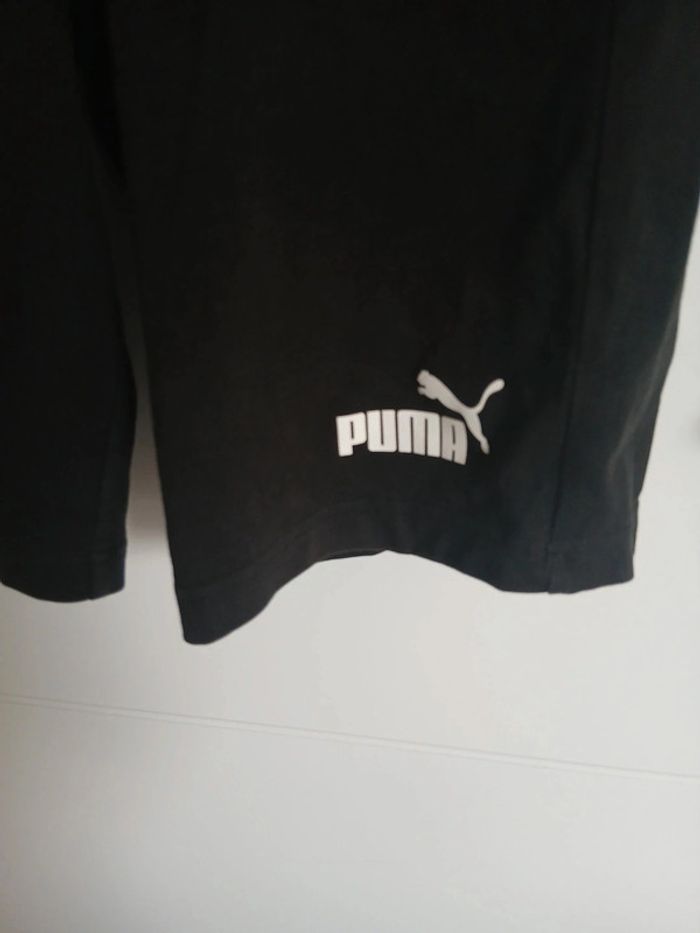 Short - photo numéro 2