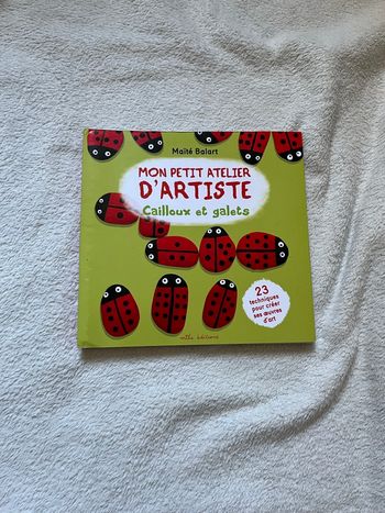 Livre enfants Mon petit atelier d artiste cailloux et galets