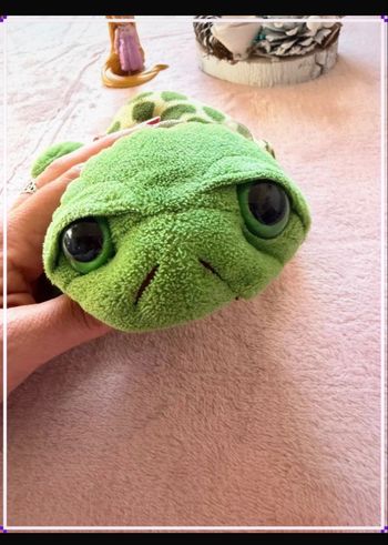 Adorable Peluche Tortue aux Grands Yeux
