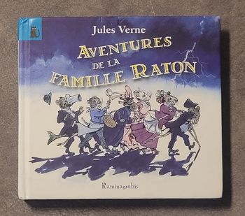 Aventures de la famille Raton Jules Verne, Dom (Illustrations)