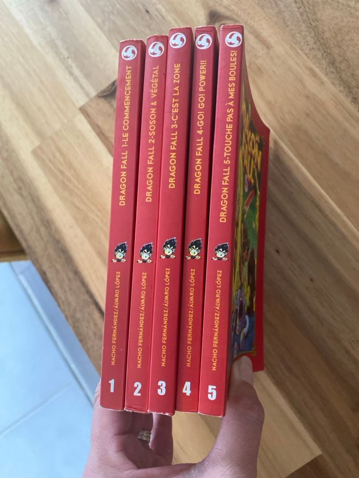 Livres dragon fall - photo numéro 2