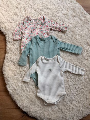 Lot de 3 bodys TAO bébé fille