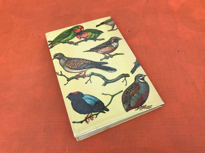 C. Mandahl-Barth et J.Dorst  Oiseaux de Cage et de Volière - photo numéro 10