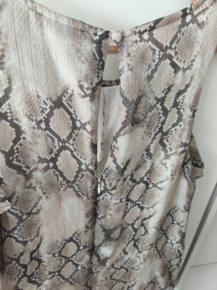 Robe serpent - photo numéro 4