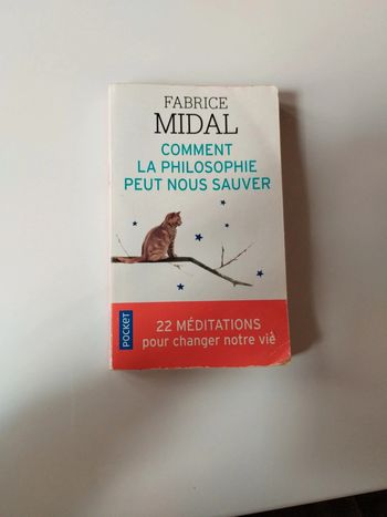 Comment la philosophie peut nous sauver Fabrice Midal