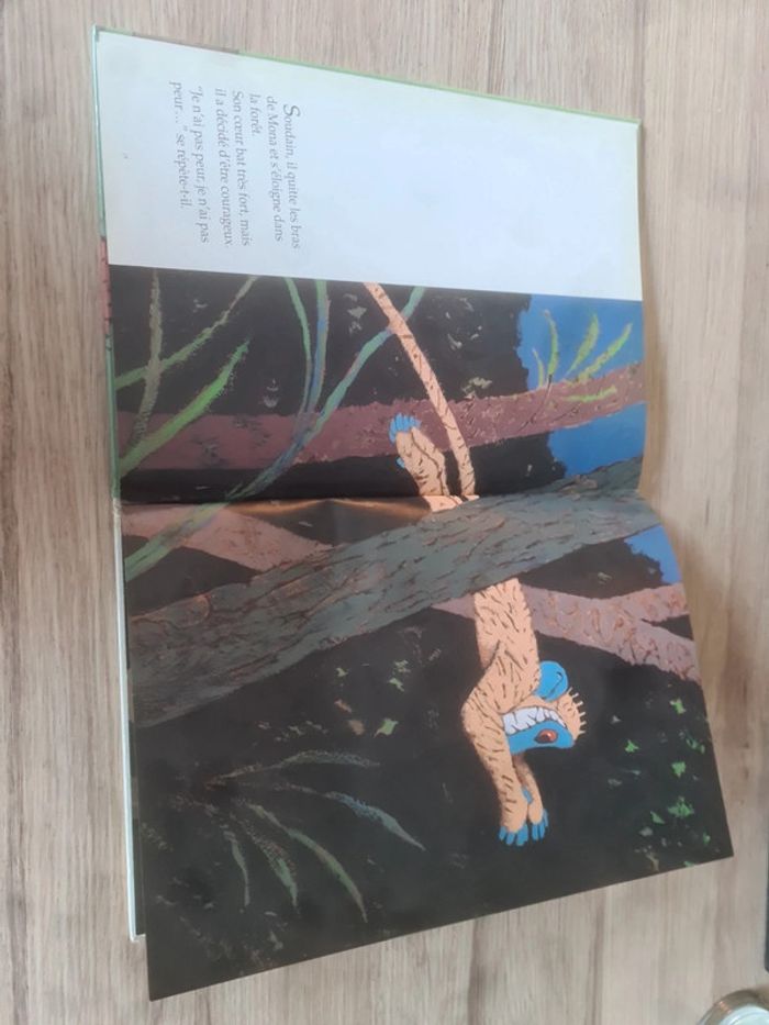 Gini le petit singe qui ne voulait pas quitter sa maman - photo numéro 4