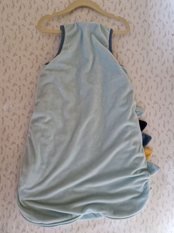 Gigoteuse orchestra - photo numéro 4