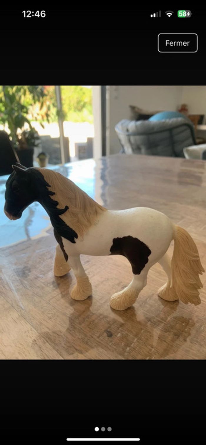 Schleich trait