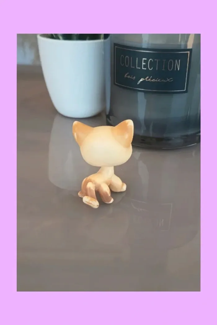 Littlest Pet Shop #816 - photo numéro 2