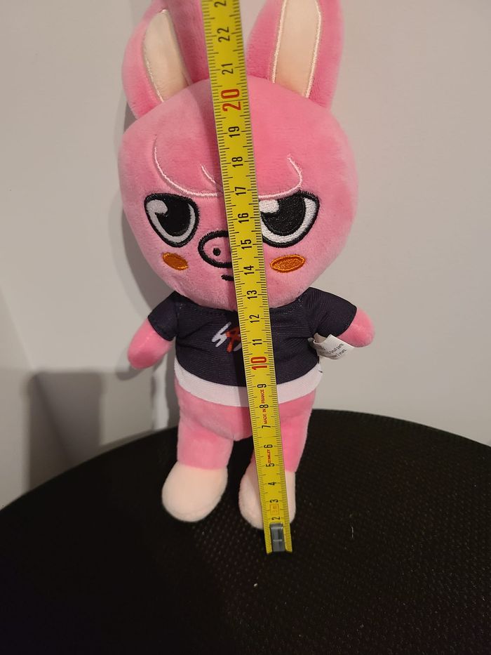 doudou skzoo - photo numéro 2