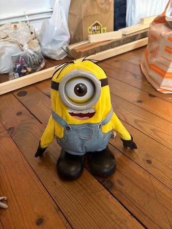 Minion robot