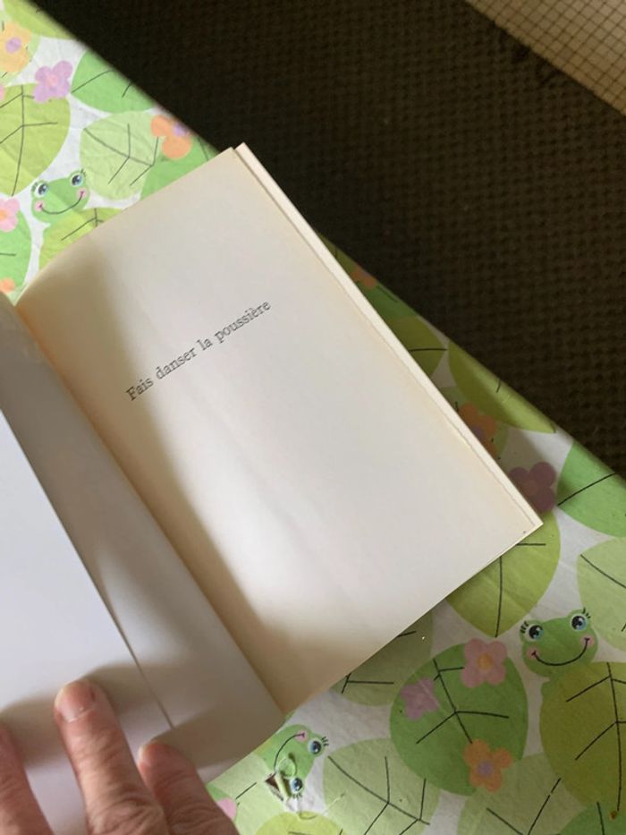 Lot romans - photo numéro 12