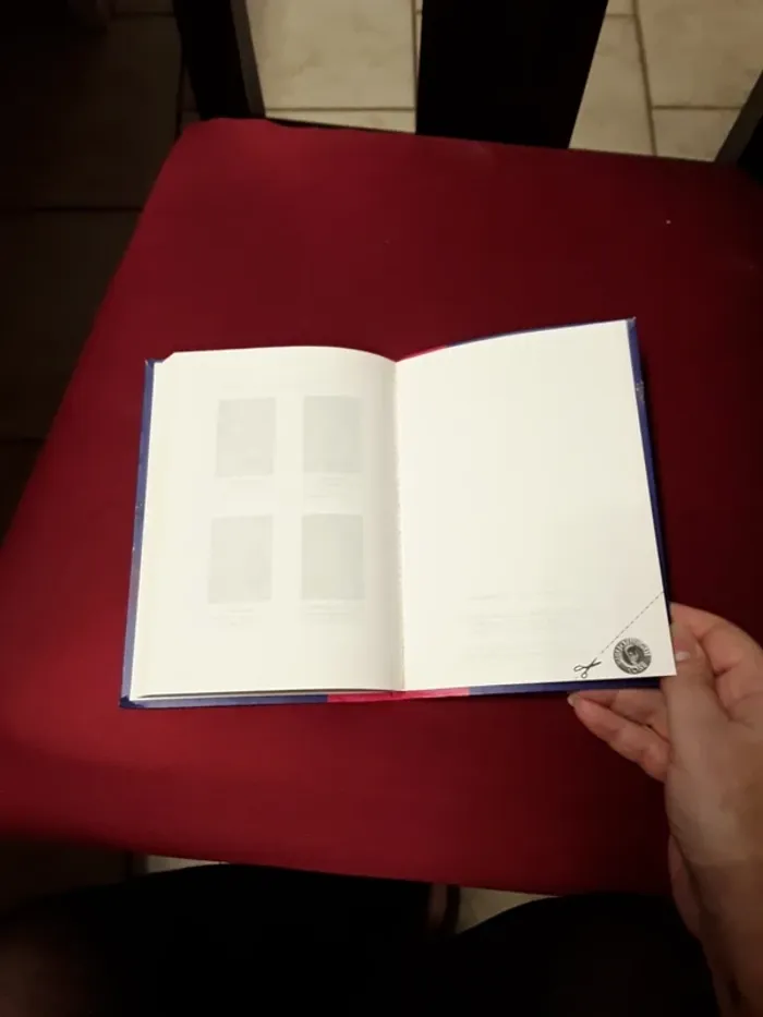 Fantomette au carnaval 958 - photo numéro 4