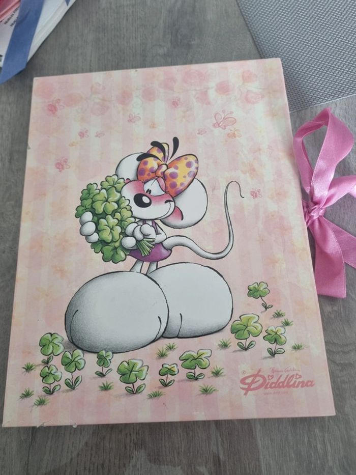 Boite rangement diddl