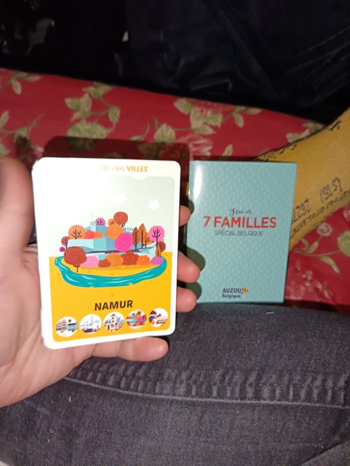 Jeu de 7 familles special Belgique - photo numéro 7