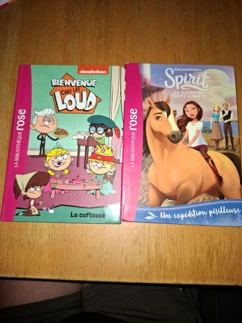 Livres la bibliothèque rose