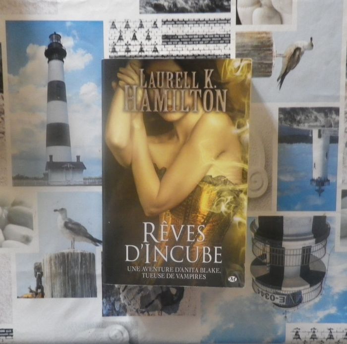 Anita Blake T12 Rêves d'incube de Laurell K. Hamilton
