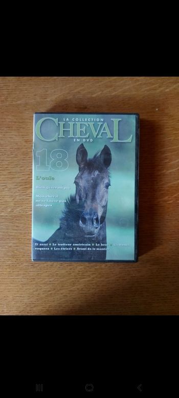DVD