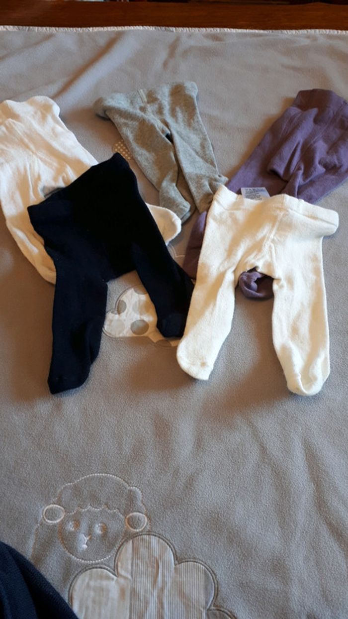 Lot de 5 collants