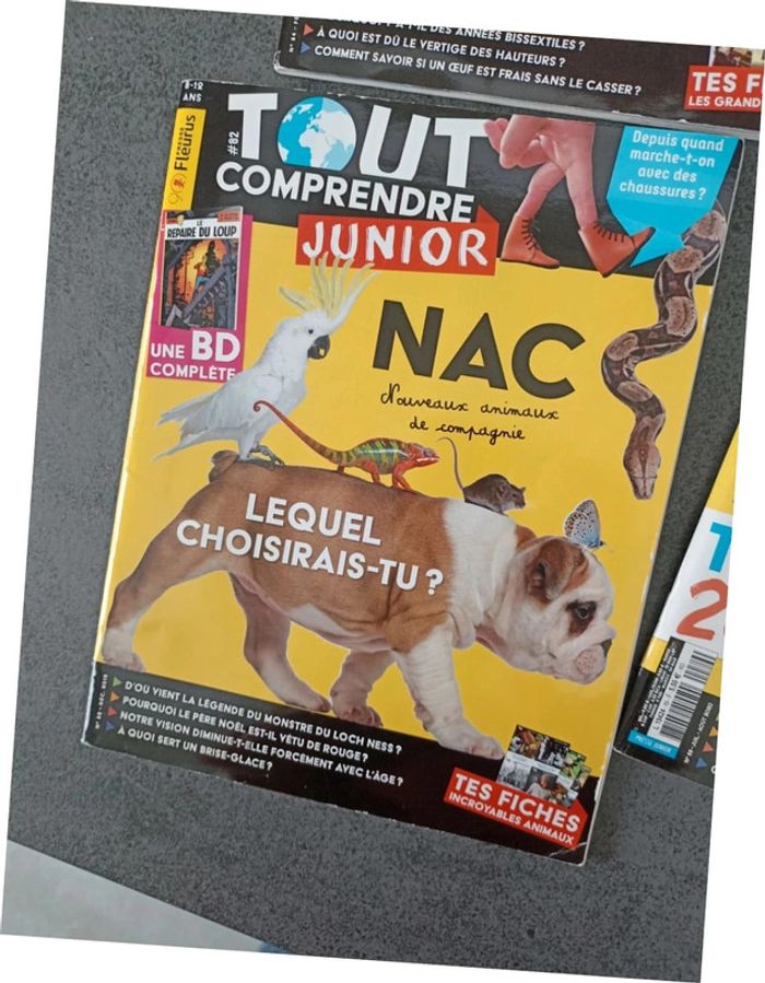 Lot 3 Tout comprendre junior - photo numéro 2