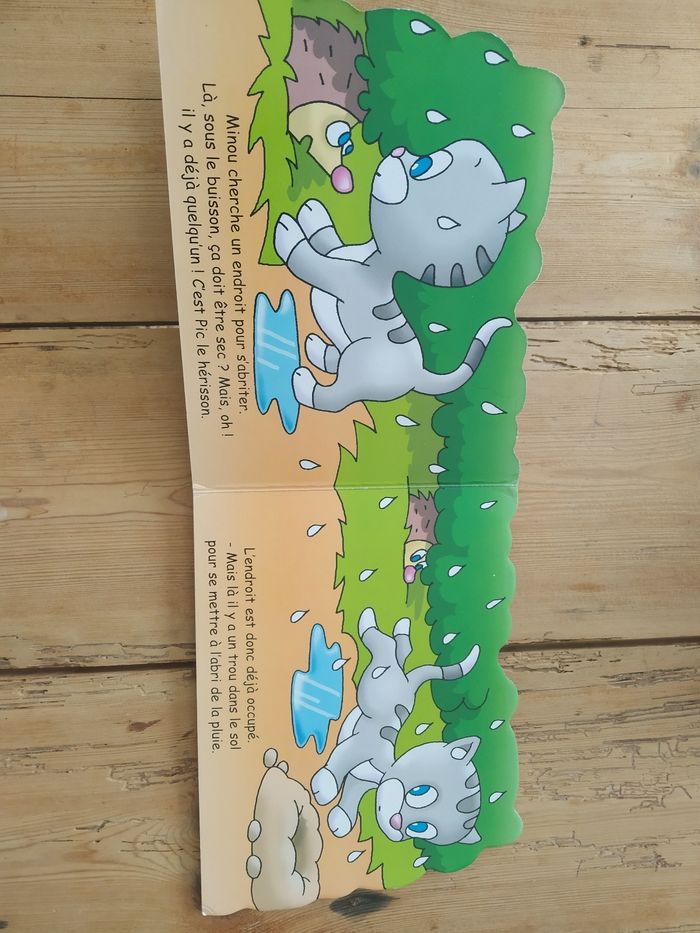 Livre - photo numéro 4