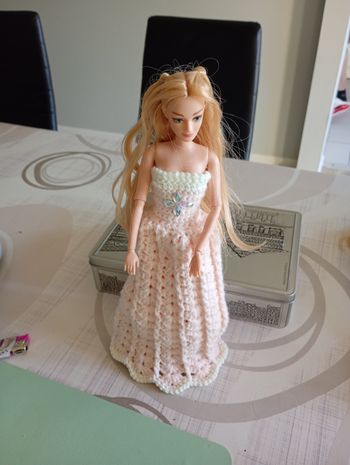 Vêtements Barbie 