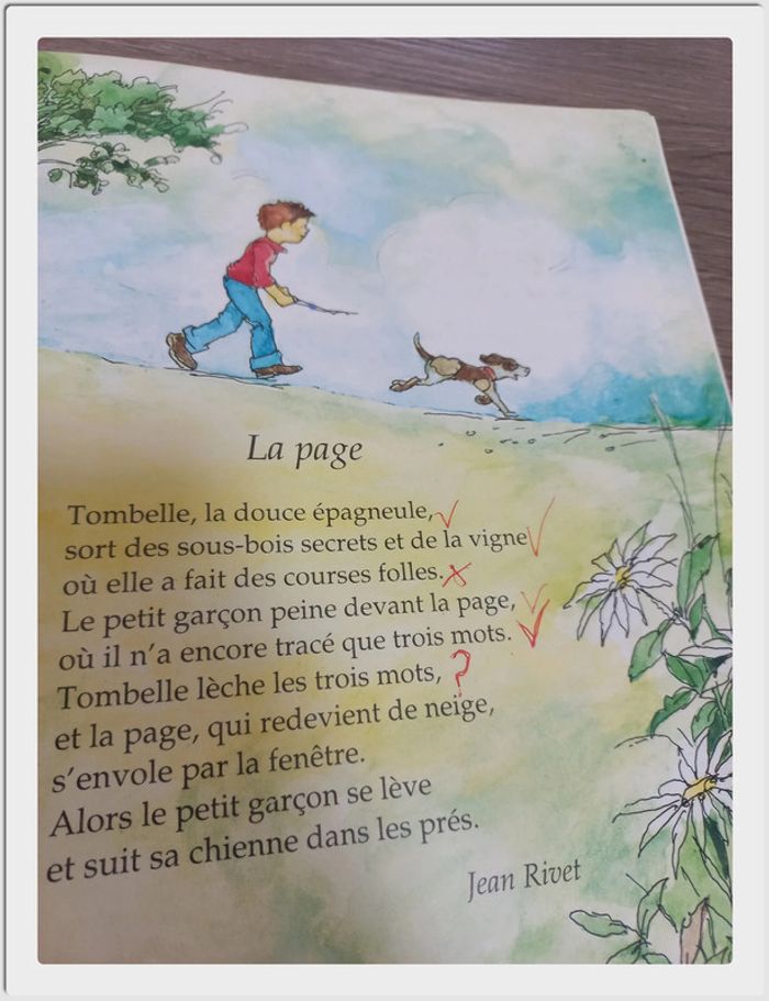 Mes livres préférés de Fisher Price: Les animaux - photo numéro 12