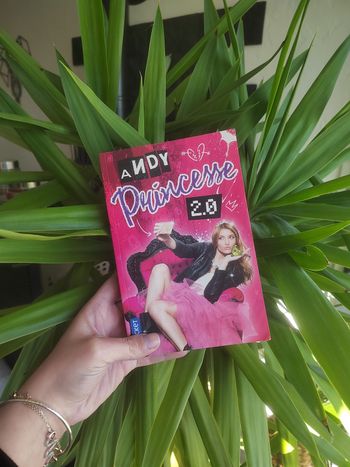 Livre Andy princesse 2.0