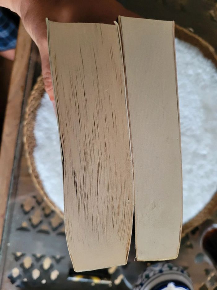 Les hommes qui n aimaient pas les femmes - photo numéro 6