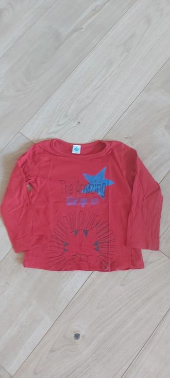 Tee-shirt manches longues garçon Tex 24 mois (78)