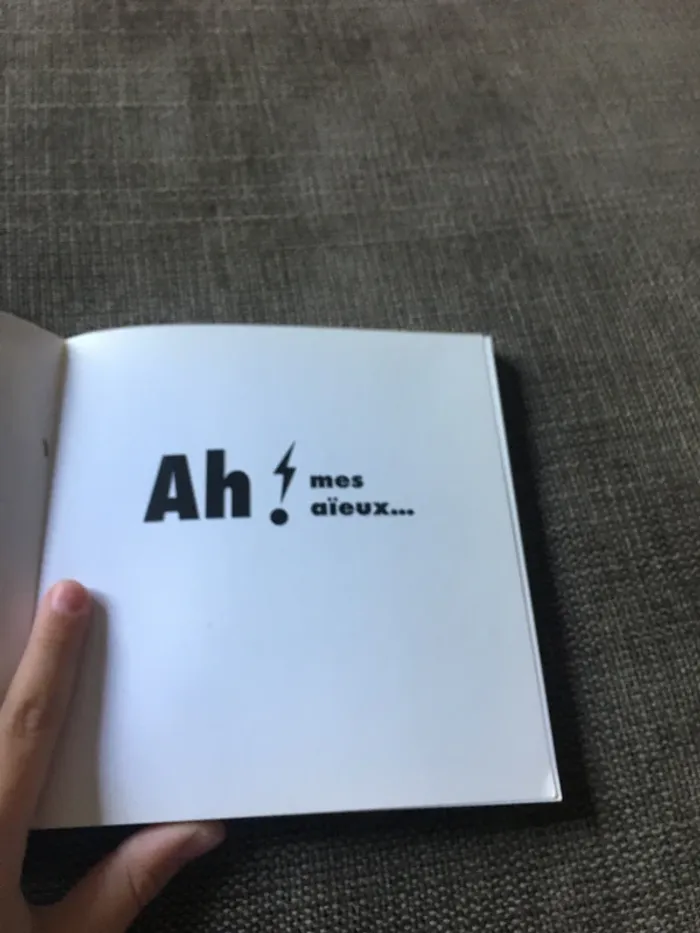 Livre ah ! Mes aïeux - photo numéro 10