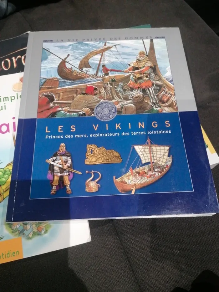 Les Vikings