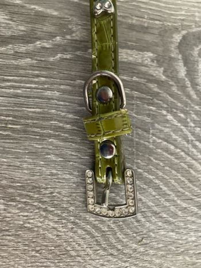 Ensemble collier et laisse pour chien - photo numéro 3