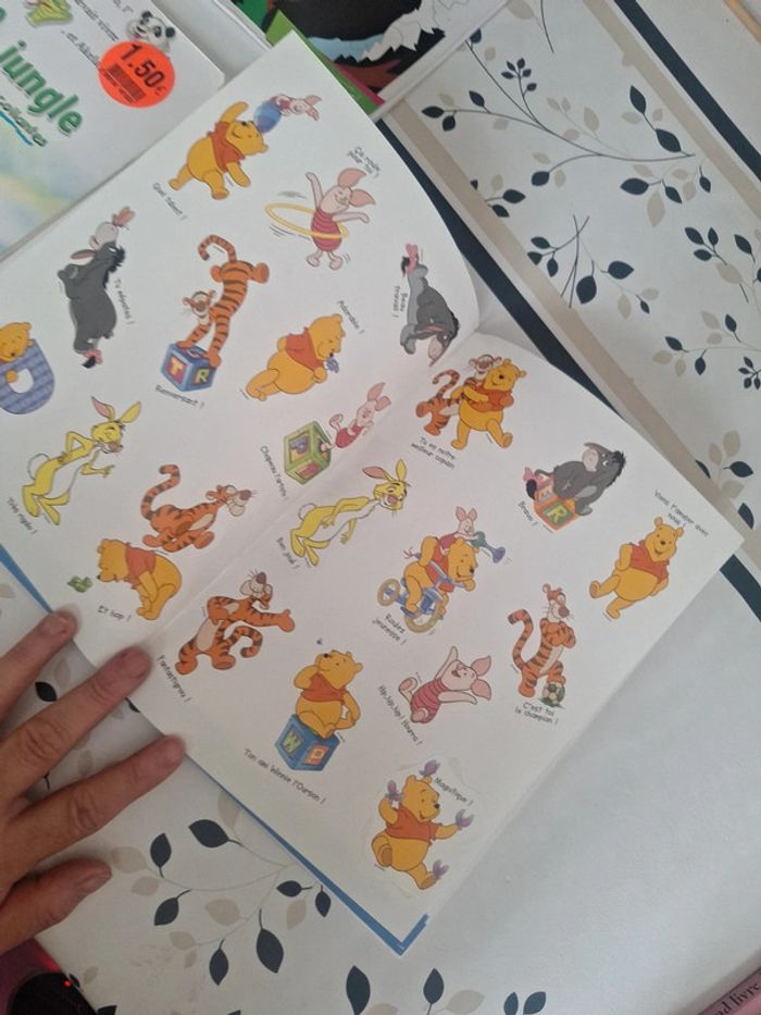 #livre stocker creatif de winnie - photo numéro 7