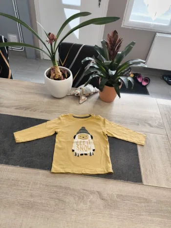 Tee-shirt garçon ml 18 mois Gémo