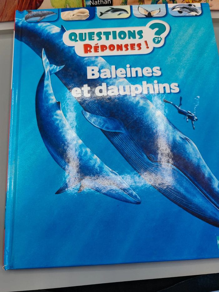 3 livres questions réponses 7 ans et plus - photo numéro 4