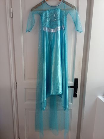 Déguisement Reine des Neiges