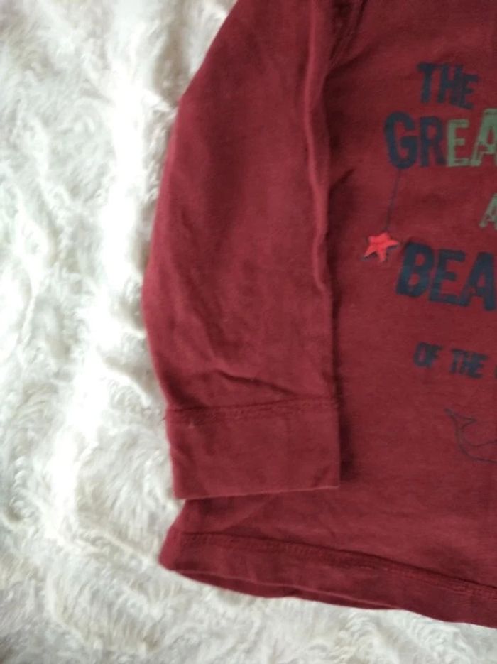 Tee shirt manches longues Garçon 18 mois Baleine Grain de blé 100% coton - photo numéro 3