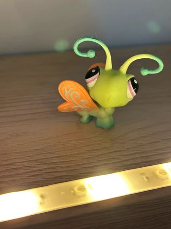 Libellule Littlest pet shop